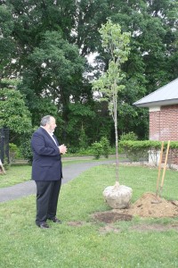 2014 Benefit and Tree Dedication-4